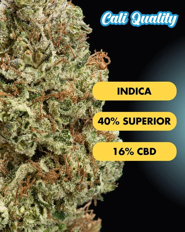 Orange ice flores superior 40%