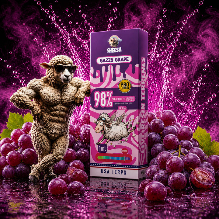 Vaper desechable Sheesh H3 Gazzy Grape Pro 1ml